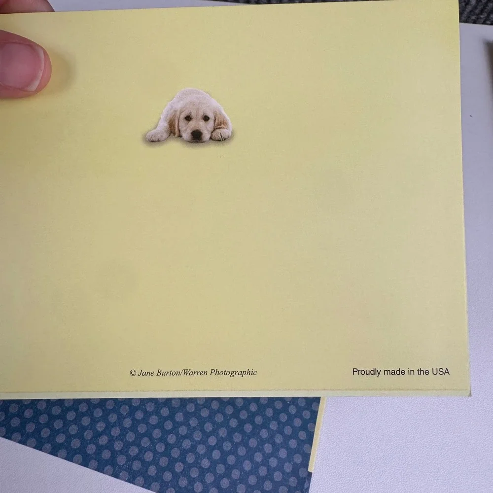 Jane Burton Puppy Get Well Soon Greeting‎ Cards Set of 3 with Envelopes USA Made